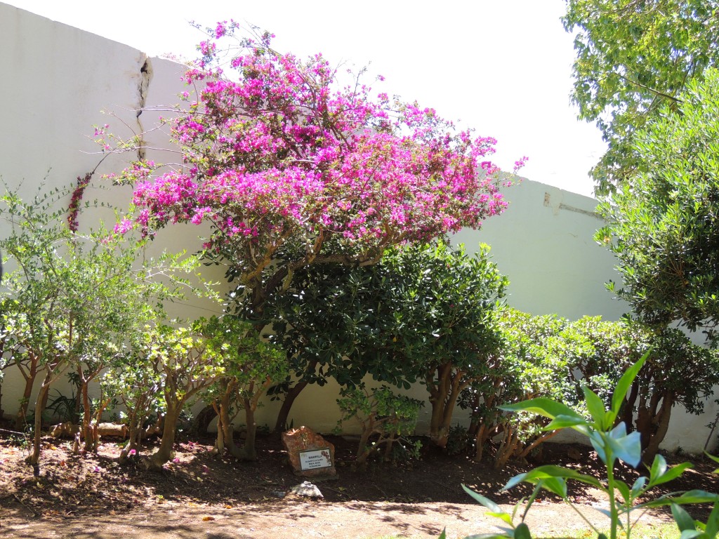 Foto de Mijas (Málaga), España