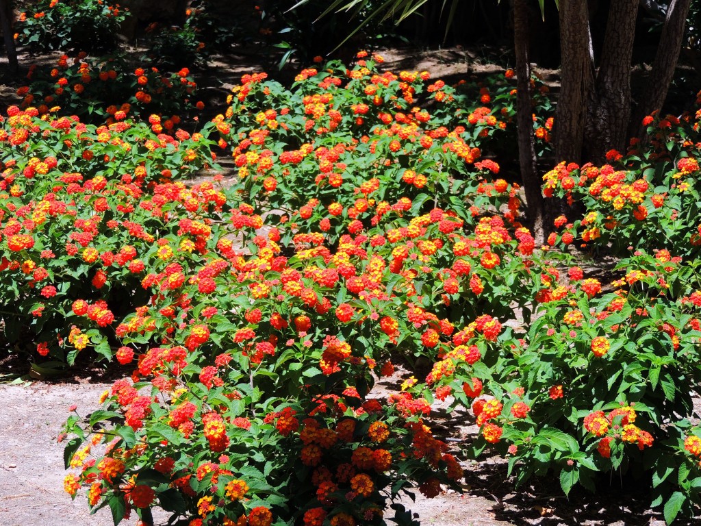 Foto de Mijas (Málaga), España