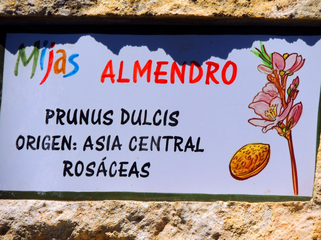 Foto de Mijas (Málaga), España