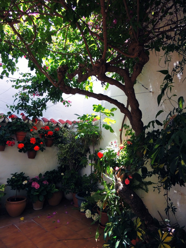 Foto de Mijas (Málaga), España