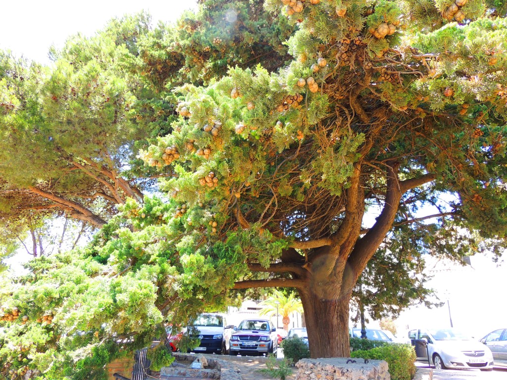 Foto de Mijas (Málaga), España