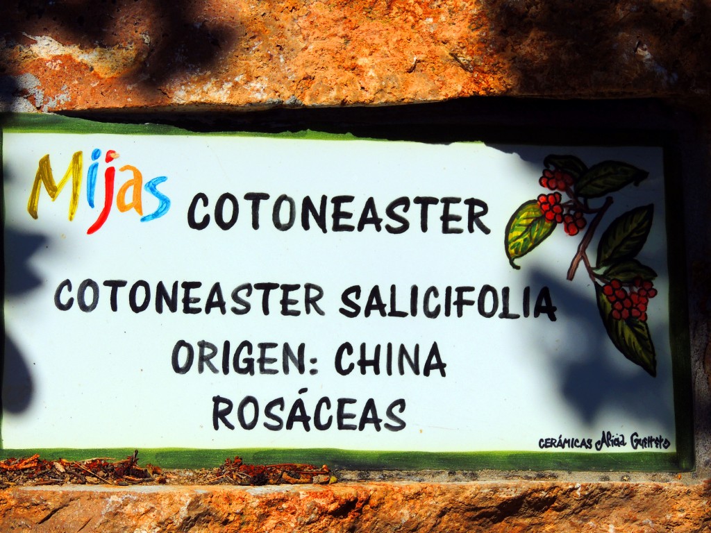 Foto de Mijas (Málaga), España