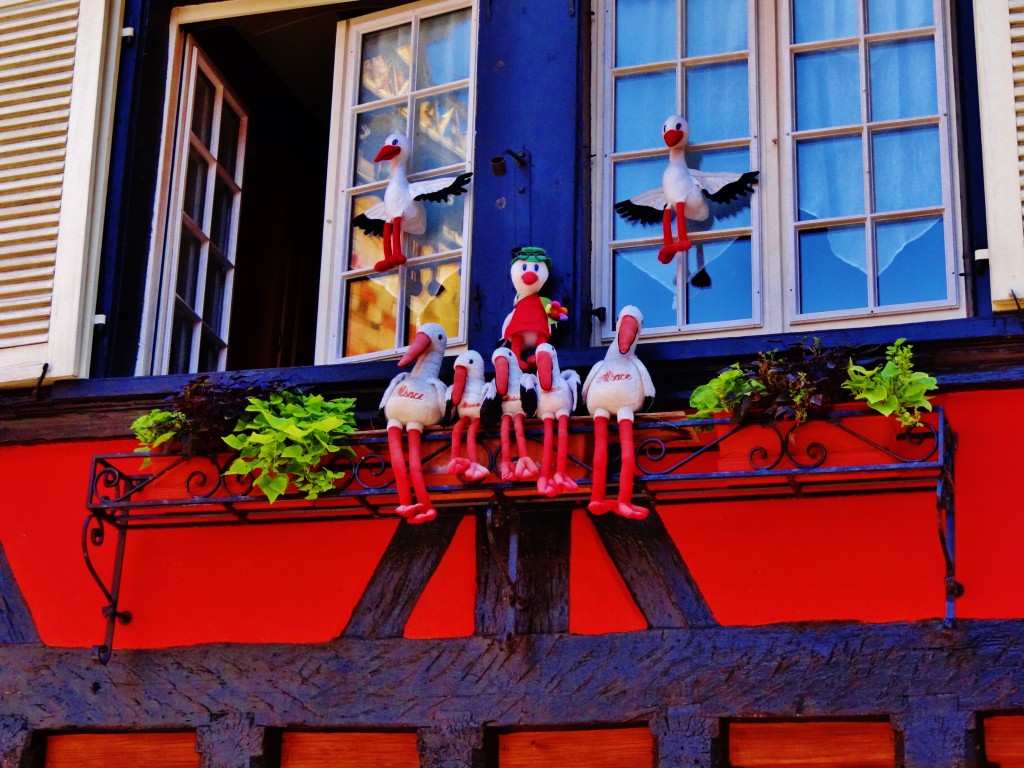 Foto: Place de la Cathédrale - Colmar (Alsace), Francia