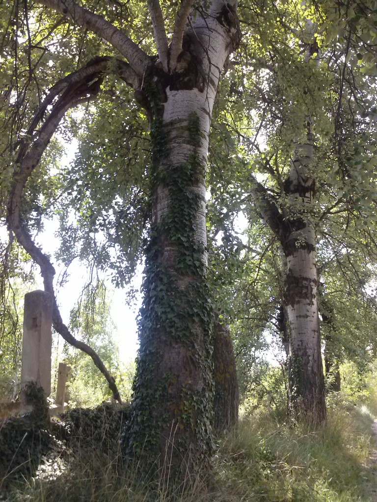 Foto de Calatayud (Zaragoza), España