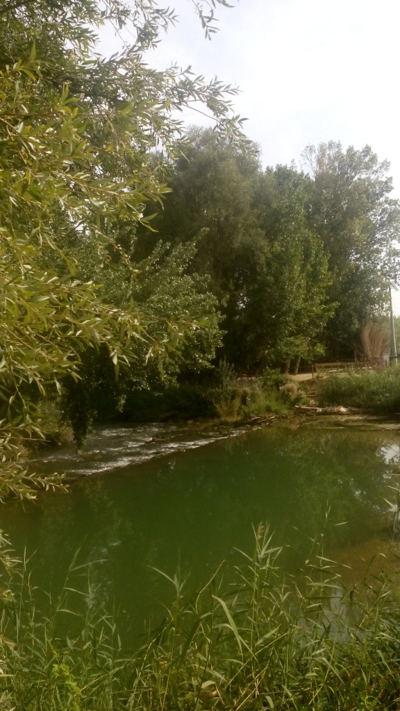 Foto: Azud de Carrau - Calatayud (Zaragoza), España