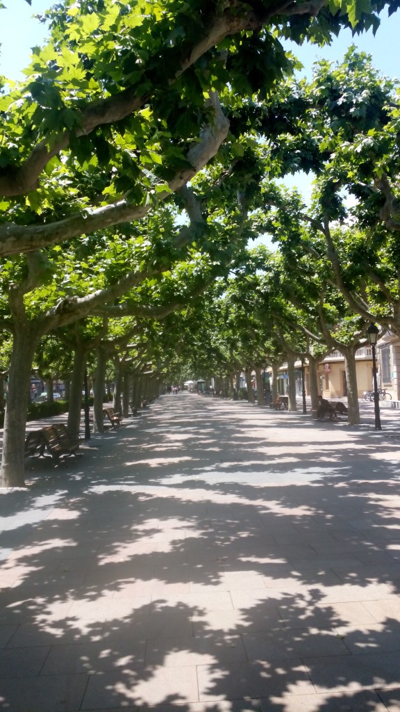 Foto: Paseo Cortes de Aragón - Calatayud (Zaragoza), España