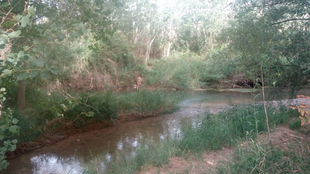 Foto: Jalón y jiloca - Calatayud (Zaragoza), España