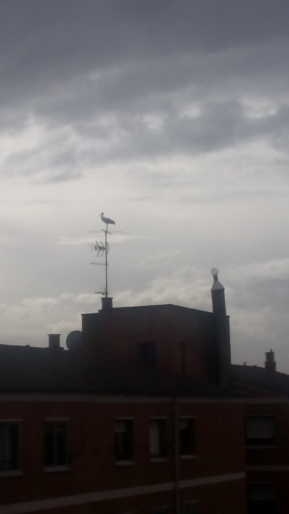 Foto de Calatayud (Zaragoza), España