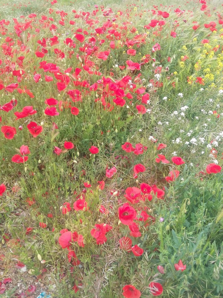 Foto de Calatayud (Zaragoza), España