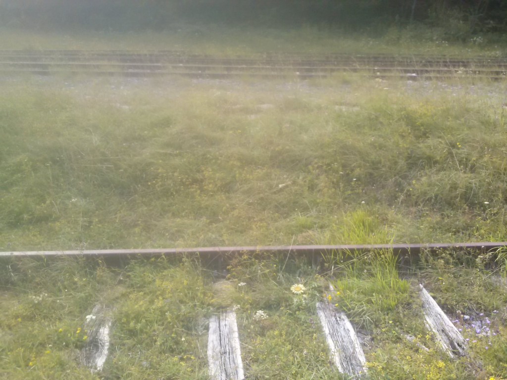 Foto de Les forges d´Abel (Midi-Pyrénées), Francia