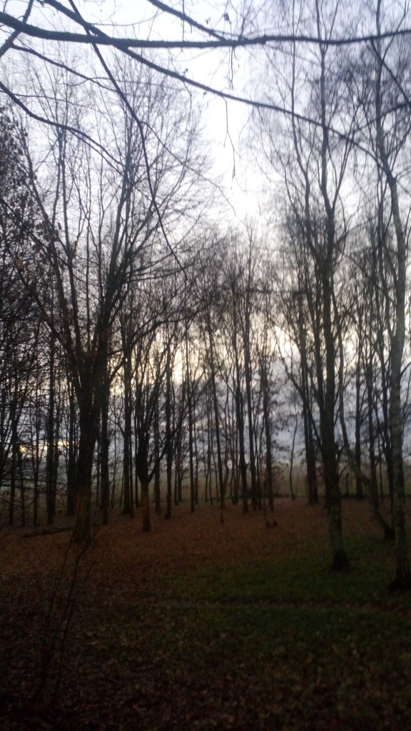 Foto de Lourdes (Midi-Pyrénées), Francia