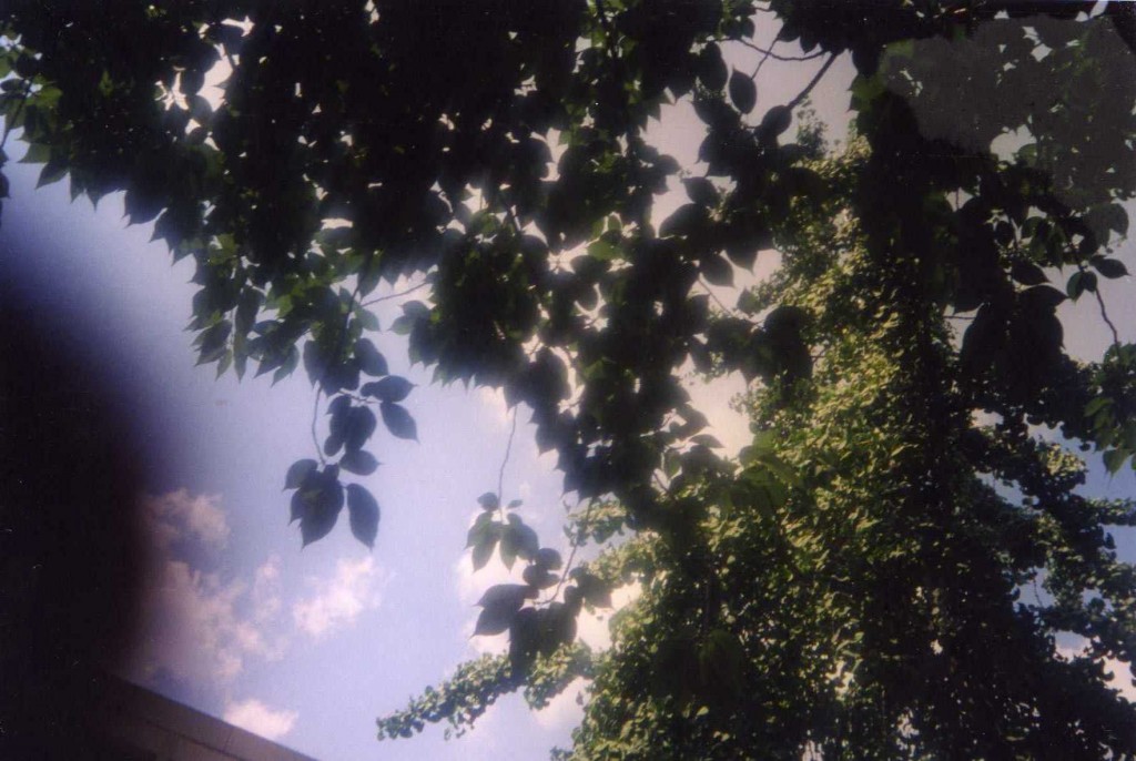 Foto de New York City (New York), Estados Unidos