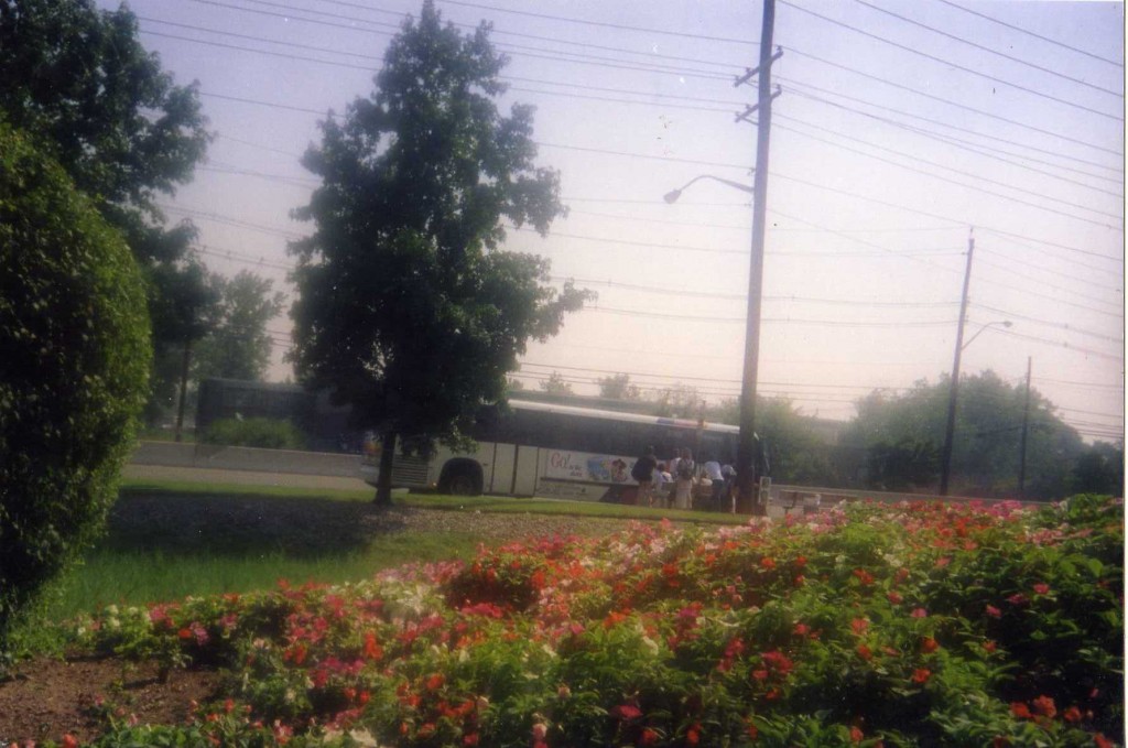 Foto de New York City (New York), Estados Unidos