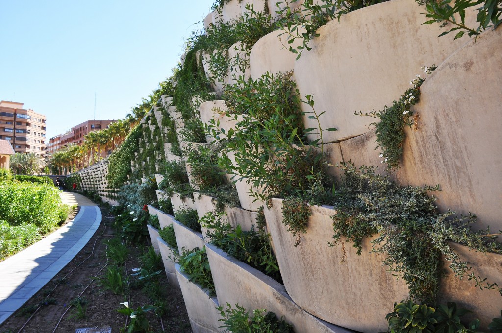 Foto: Muro con plantas - Valencia (València), España