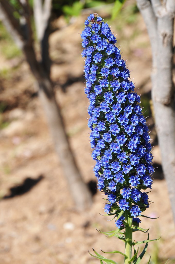 Foto: Parque Central - Valencia (València), España