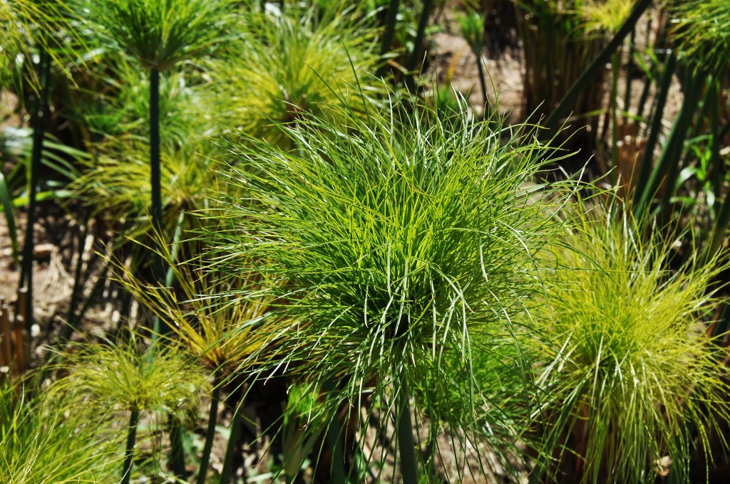 Foto: Parque Central - Valencia (València), España
