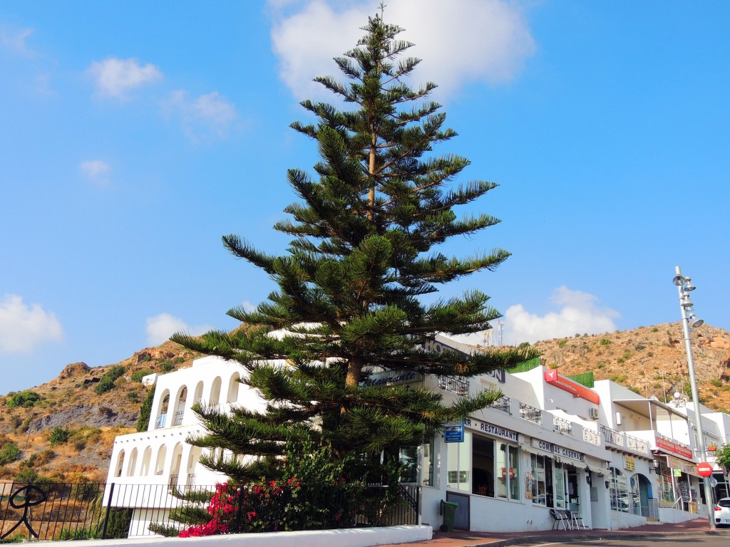Foto de Mojacar (Almería), España
