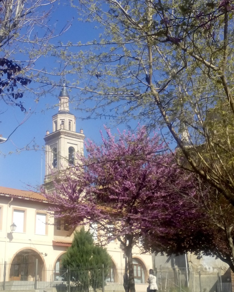 Foto: Escuela Municipal de Musica - Calatayud (Zaragoza), España