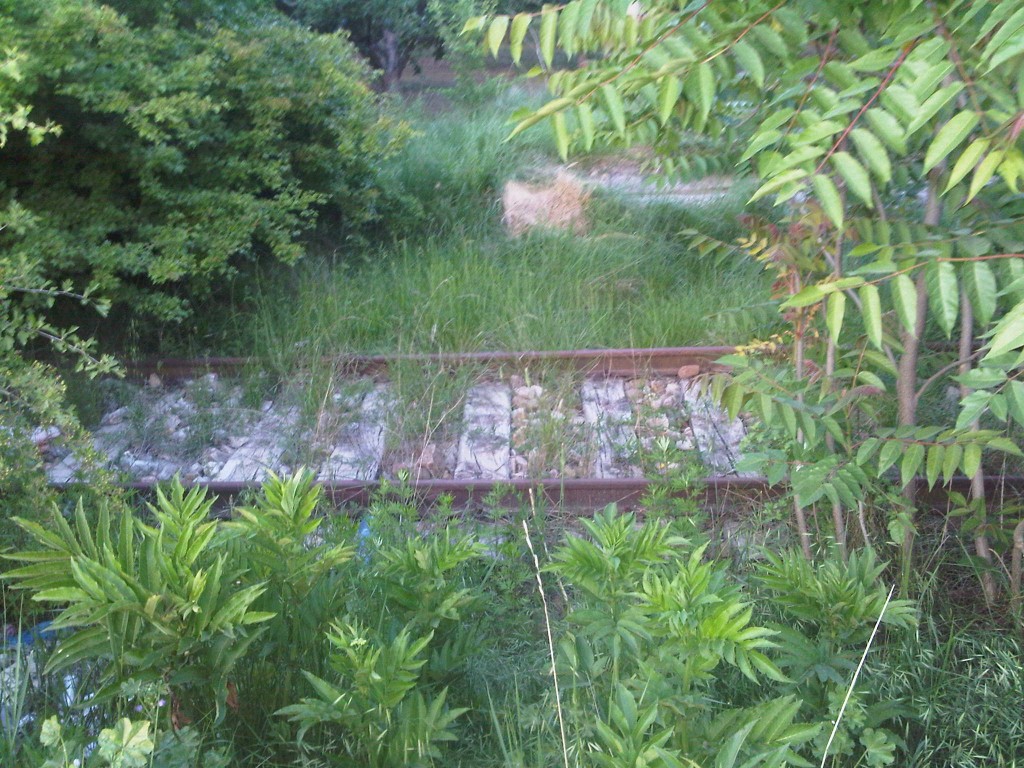 Foto: Línea Calatayud-Valencia en las cercanias de Calatayud - Calatayud (Zaragoza), España
