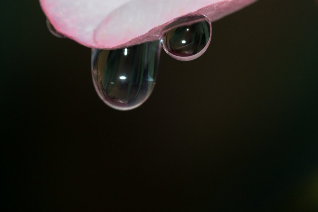 Foto de Alajuela, Costa Rica