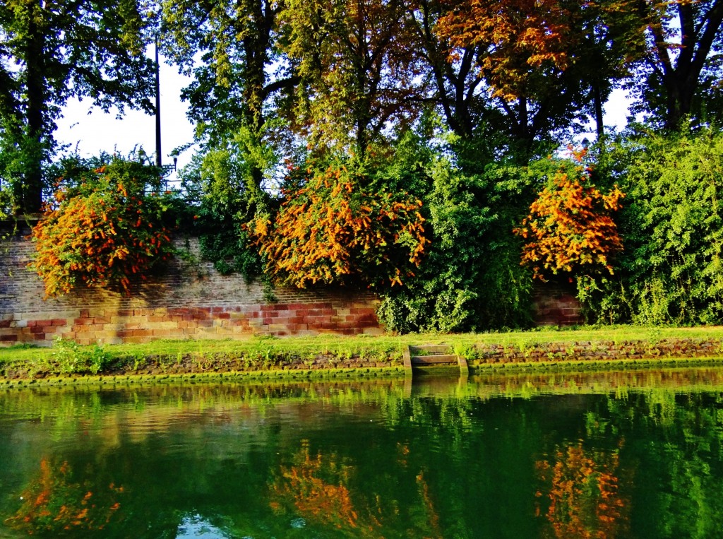 Foto: Canal du Faux-Rempart - Strasbourg (Alsace), Francia
