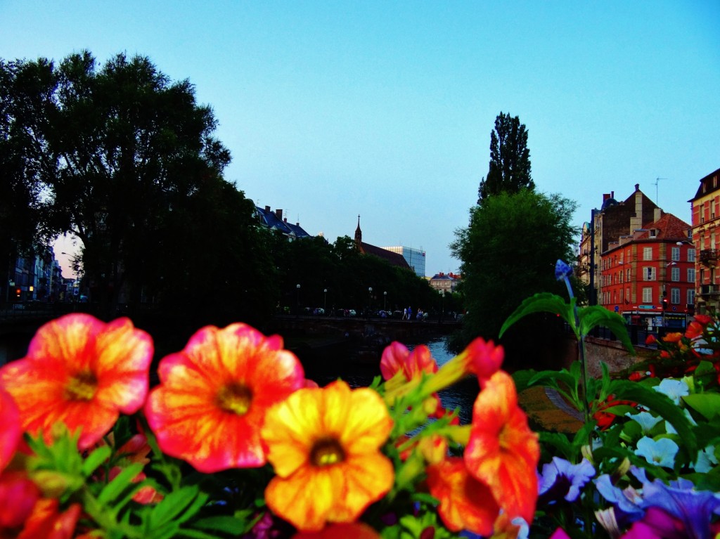 Foto: Rue du Faubourg-National - Strasbourg (Alsace), Francia
