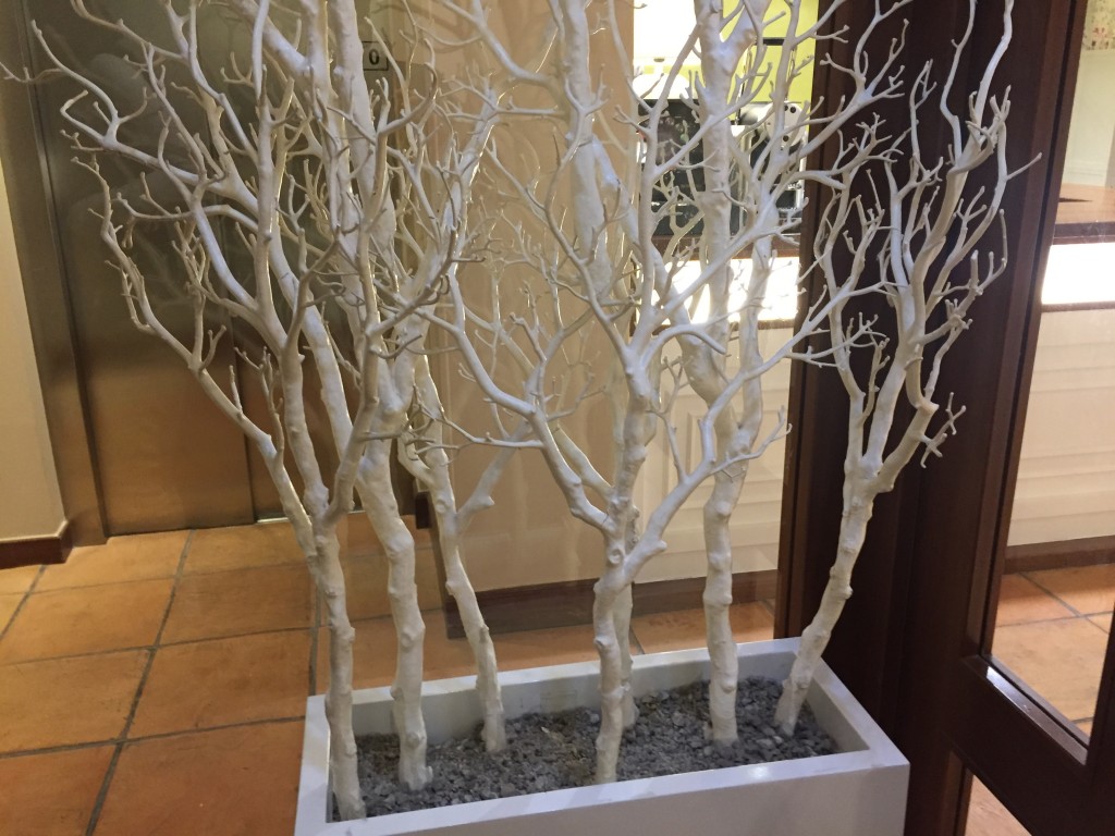 Foto de San Sebastian (Vizcaya), España