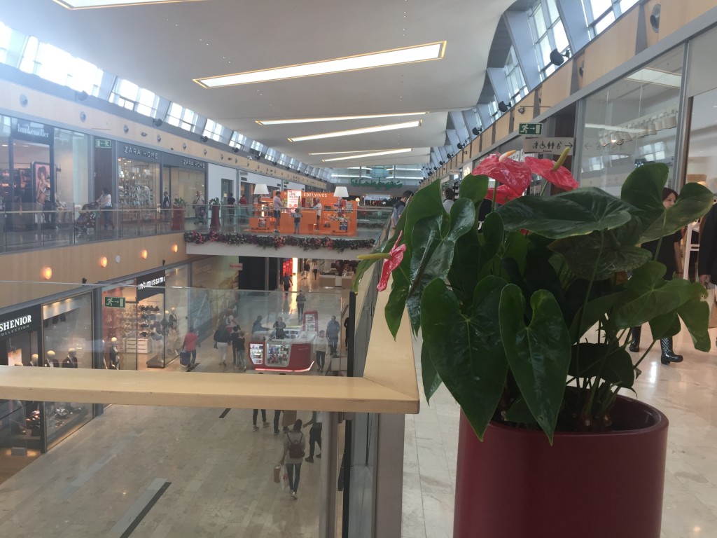 Foto de Zaragoza (Aragón), España