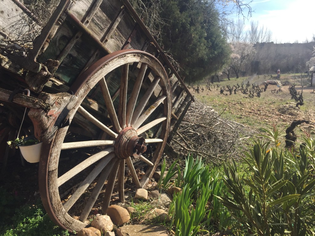 Foto de Lerma (Burgos), España