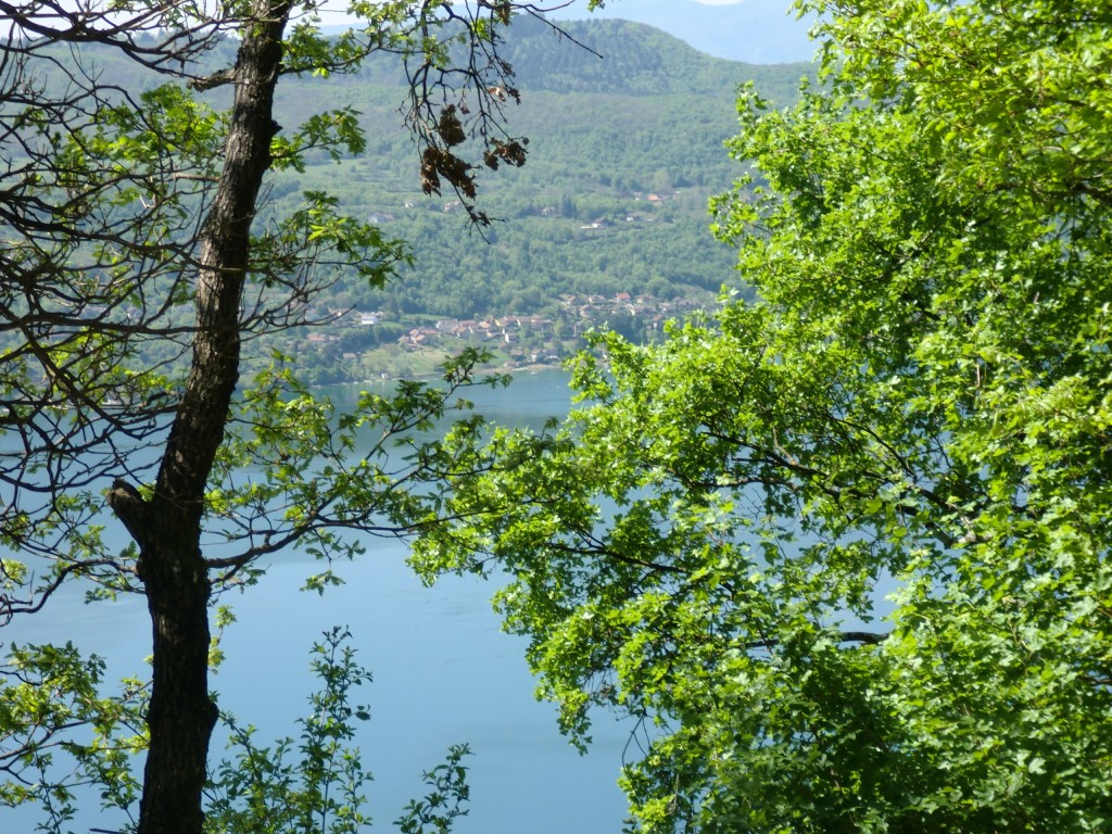 Foto de Annency (Languedoc-Roussillon), Francia
