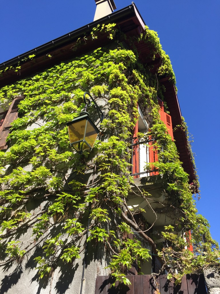 Foto de Annency (Languedoc-Roussillon), Francia