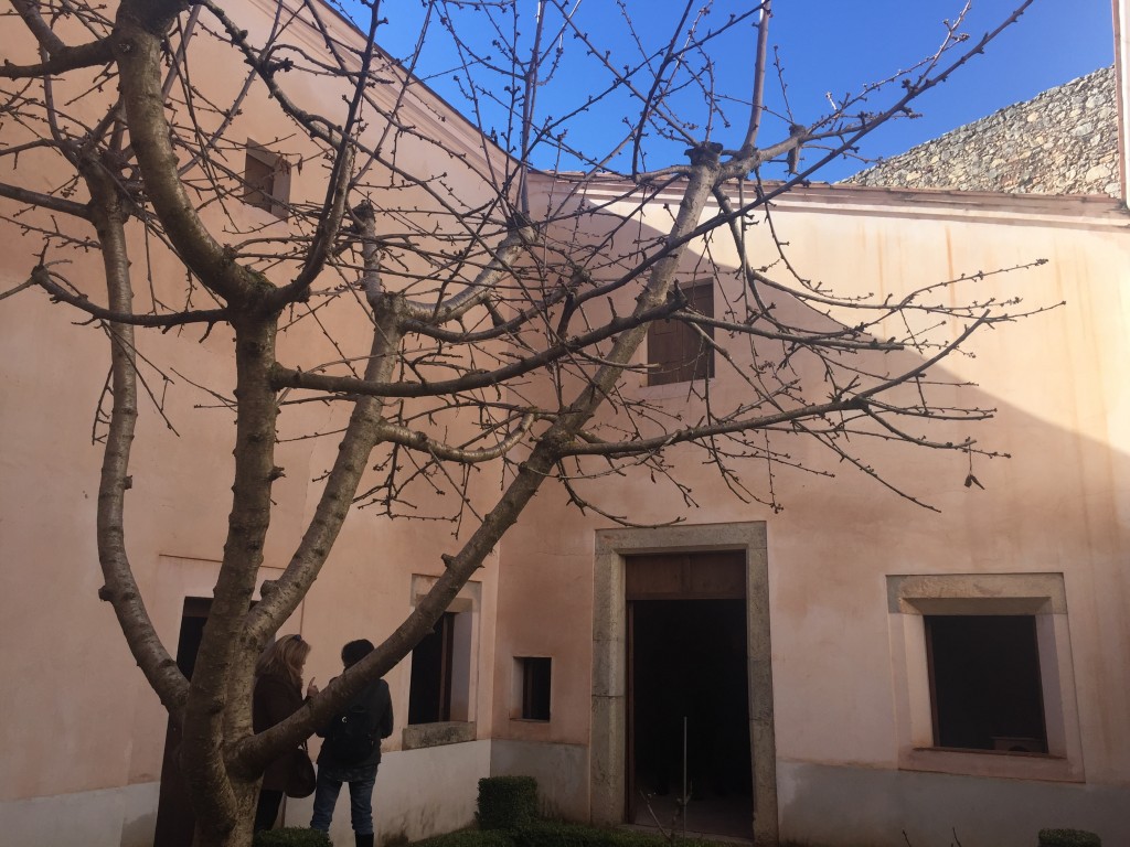 Foto de La Selva Del Campo (Tarragona), España