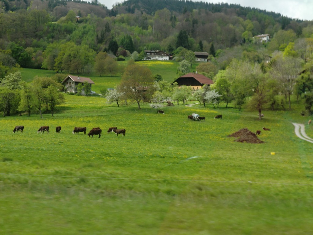 Foto de Chamonix (Rhône-Alpes), Francia