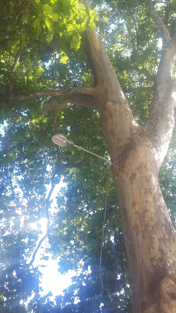 Foto: Pietas - El Frasno (Zaragoza), España