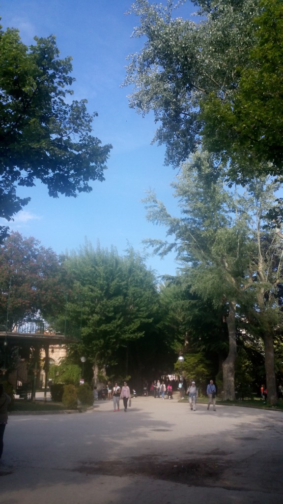 Foto: La Dehesa - Soria (Castilla y León), España