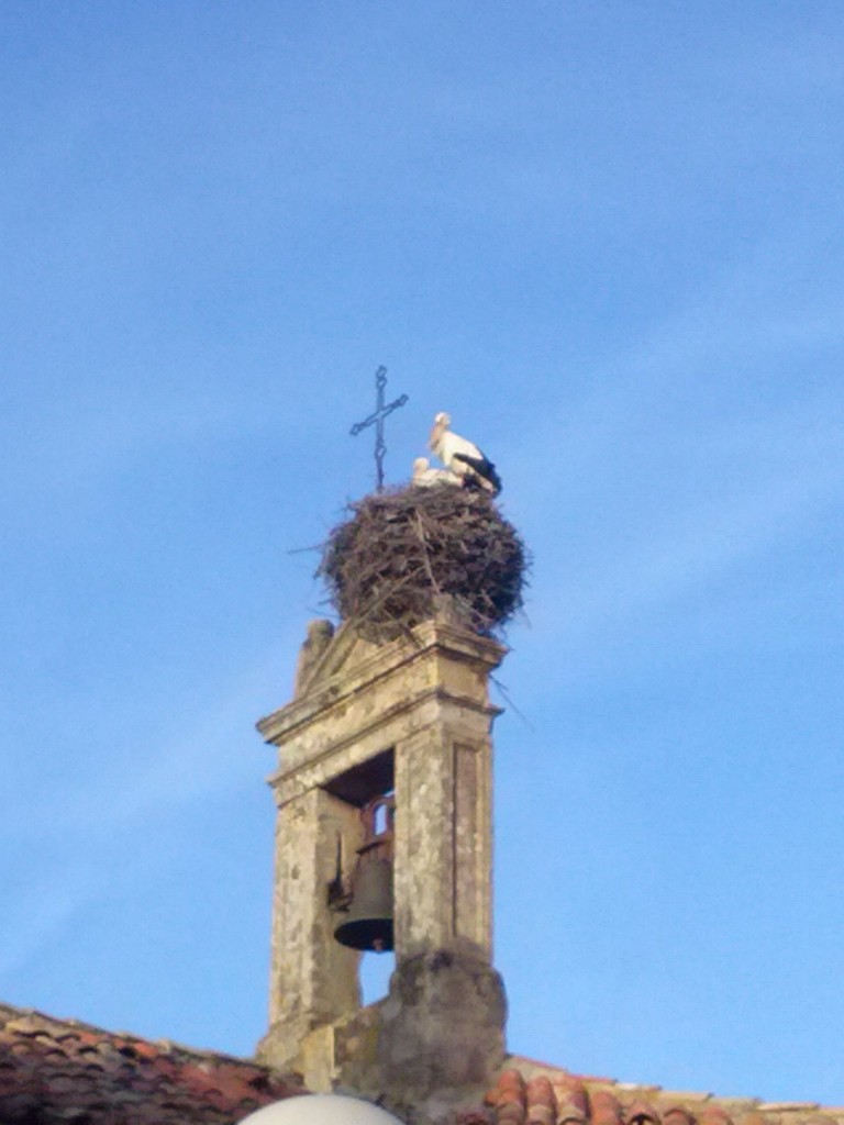 Foto: La Dehesa - Soria (Castilla y León), España