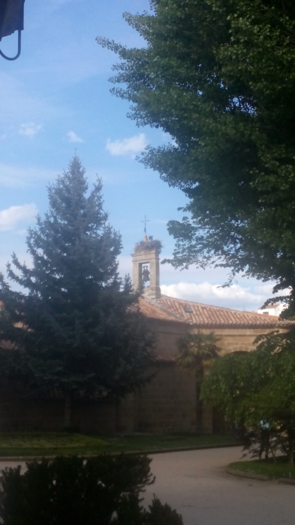 Foto: La Dehesa - Soria (Castilla y León), España
