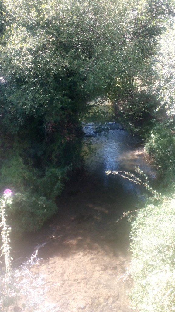 Foto: Rio Jalon - Somaen (Soria), España