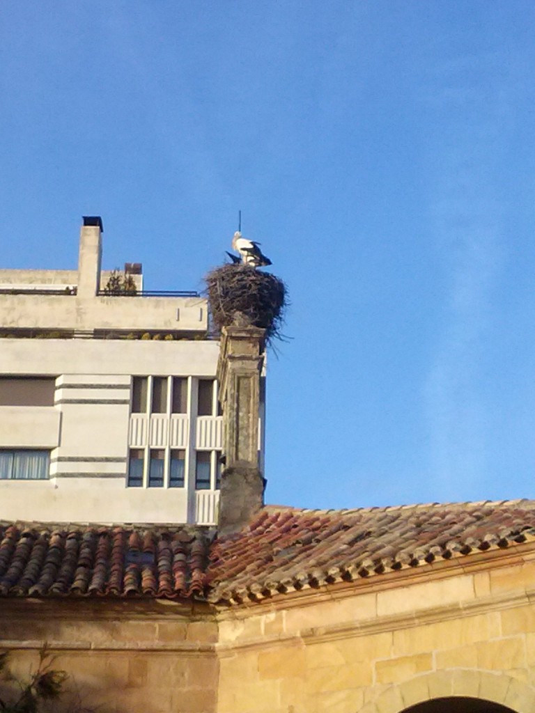 Foto: La Dehesa - Soria (Castilla y León), España