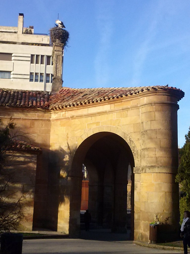 Foto: La Dehesa - Soria (Castilla y León), España