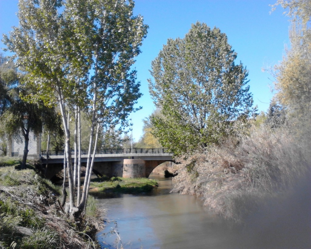 Foto: Río Jalón - Calatayud (Zaragoza), España