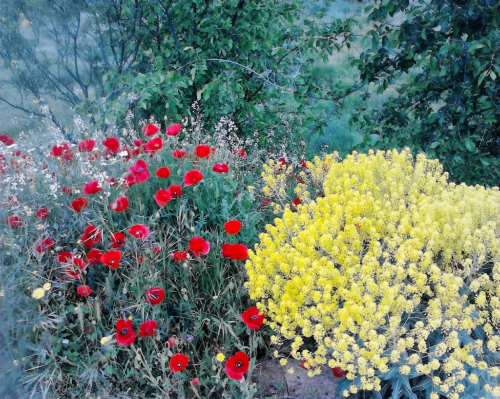 Foto de Ateca (Zaragoza), España