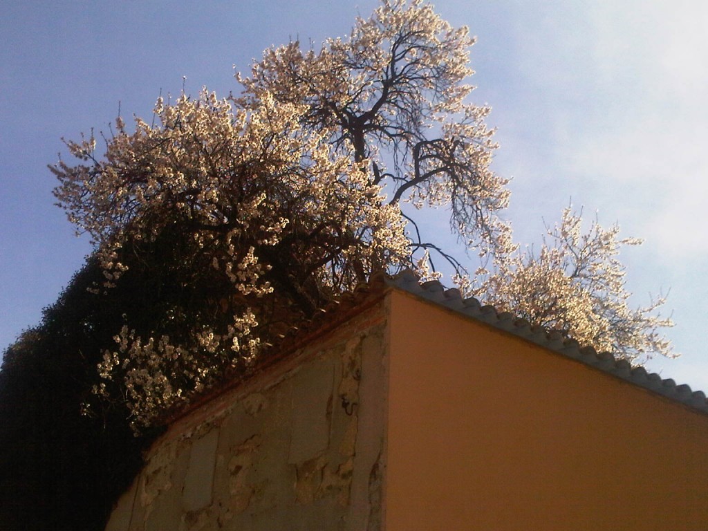 Foto de Ateca (Zaragoza), España