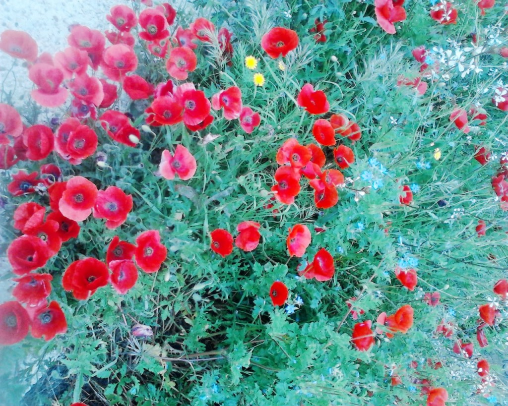 Foto de Ateca (Zaragoza), España