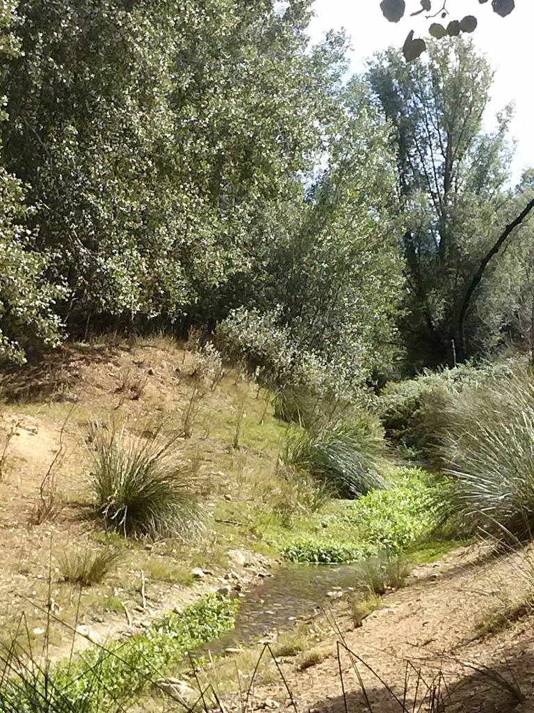 Foto: Rio Perejiles - Calatayud (Zaragoza), España