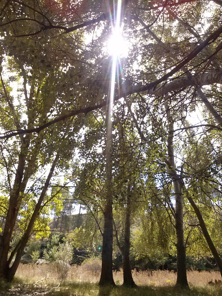 Foto de Calatayud (Zaragoza), España