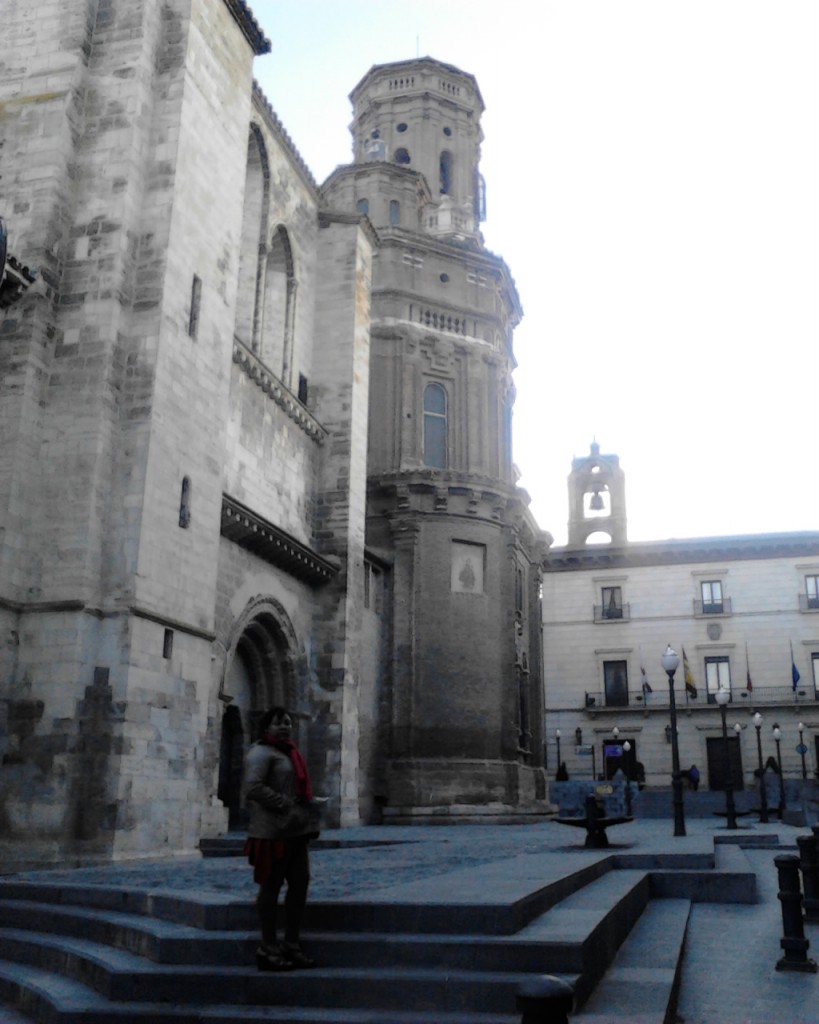 Foto: Catedral - Tudela De Navarra (Navarra), España