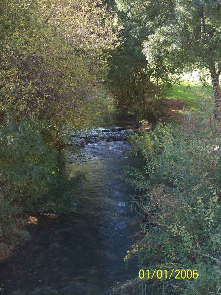Foto: Rio Jalón - Somaen (Soria), España