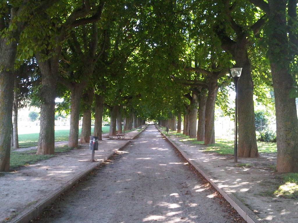 Foto: La Dehesa - Agreda (Soria), España