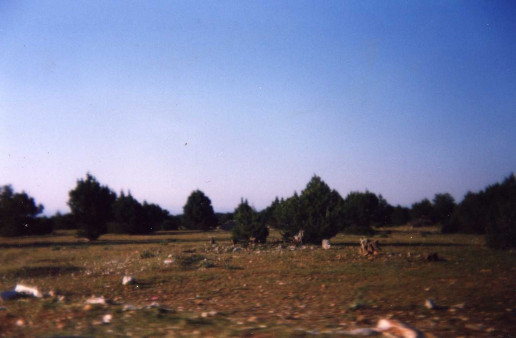 Foto: Sierra del Solorrio - Iruecha (Soria), España
